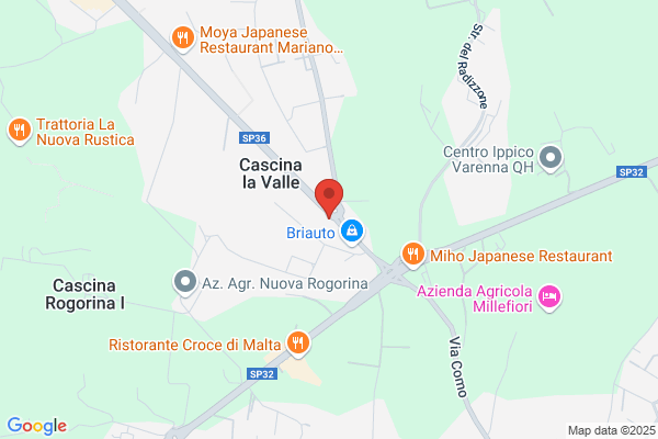 Pellizzoni Antonio E Giovanni E C.(S.N.C.)
