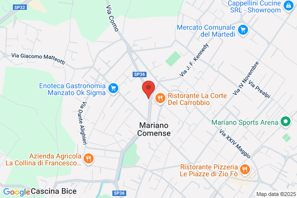 Mariani luigia