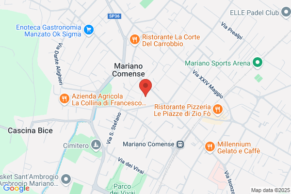 Mazzotta elisabetta