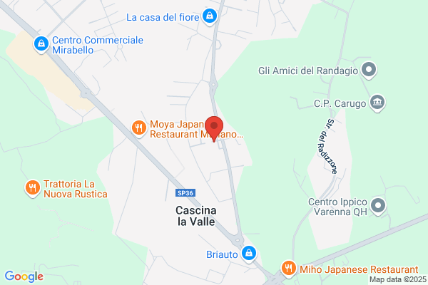 Grafiche Mariano Spa