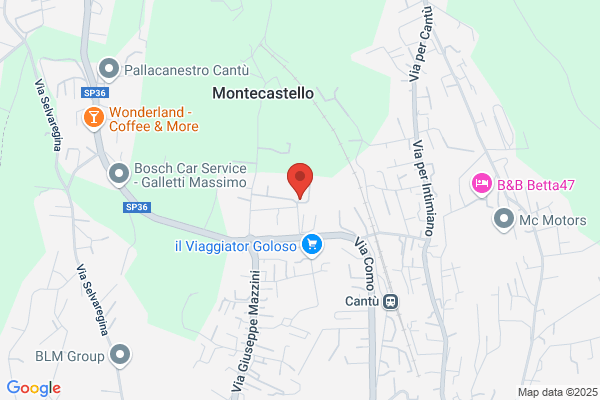 Masiero angelo