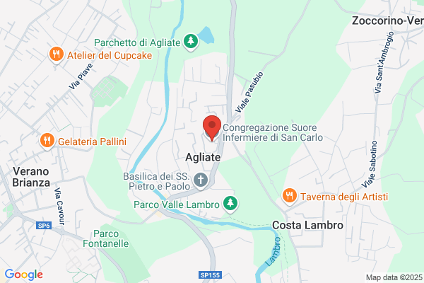 Suore Infermiere Di San Carlo