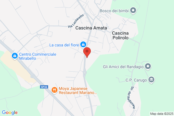 Noleggio