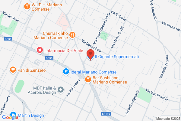Grandi Magazzini E Supermercati Il Gigante (S.P.A.)