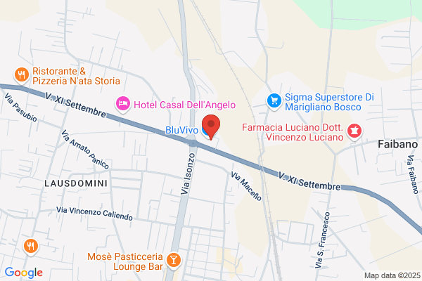 Istituto Vigilanza Privata Mercurio Arl