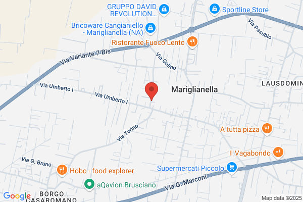Palma michele