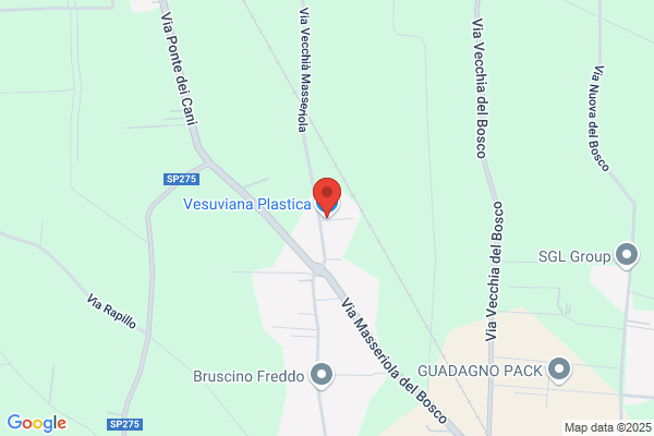Vesuviana Plastica