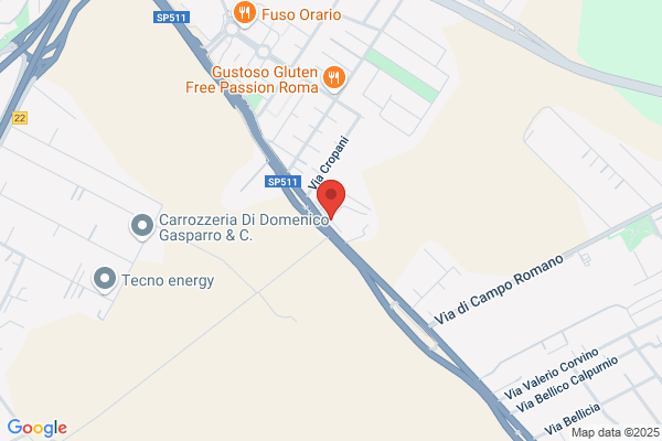 Istituto Figlie Della Divina Carita