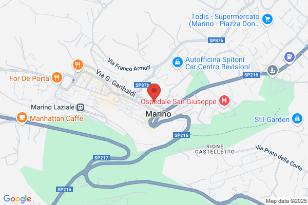 Istituto Maestre Pie Venerine