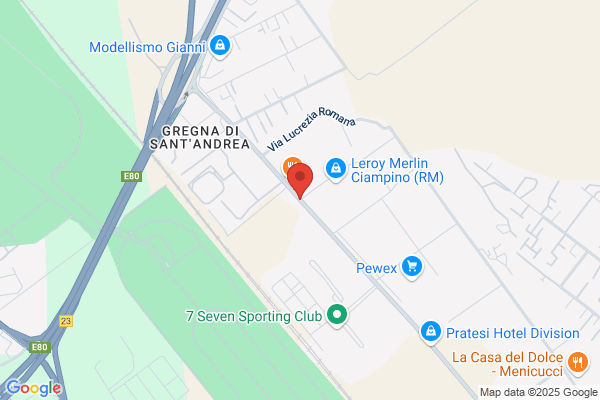Gruppo Edom (S.R.L.)