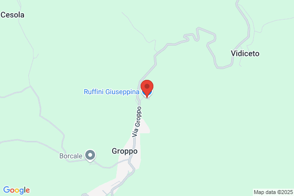 Rufini gianni