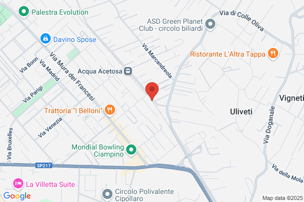 Fattoria Allegrini S.R.L.