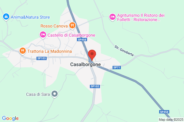 Montagnani rossella
