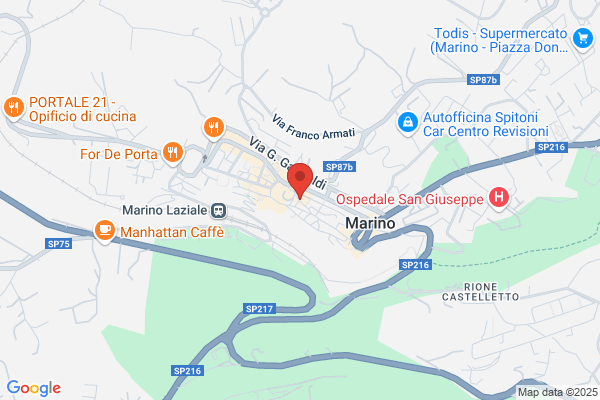 Partito Democratico Della Sinistra