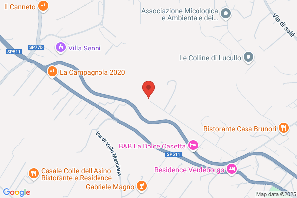 Il Paese dei Balocchi