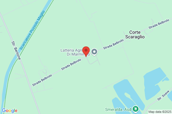 Ronconi Fratelli arrigo E Enio