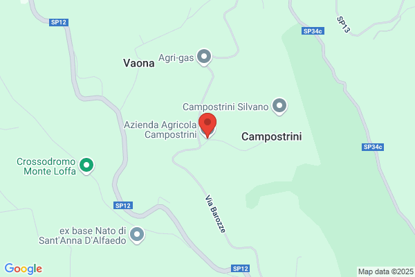 Campostrini luca