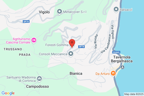 Foresti Gomma