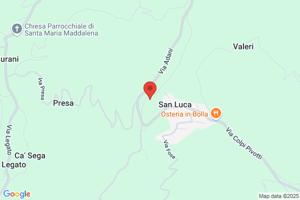 Frison Bertilla (Dr.)