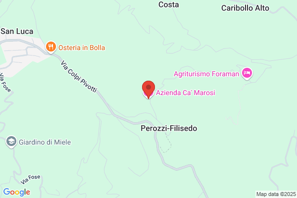Tartaglia mariano