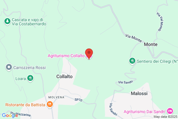 Trattoria Palazzotto