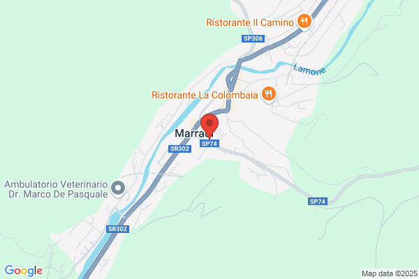 Istituto Comprensivo D. Campana