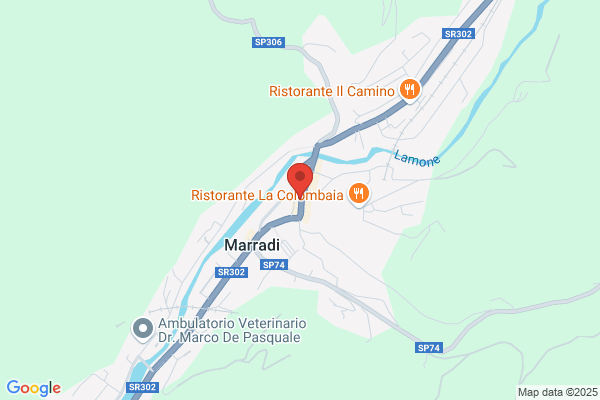 Misericordia