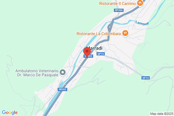 Tronconi Alberto E C Snc