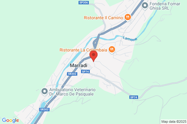 Tronconi giovanni