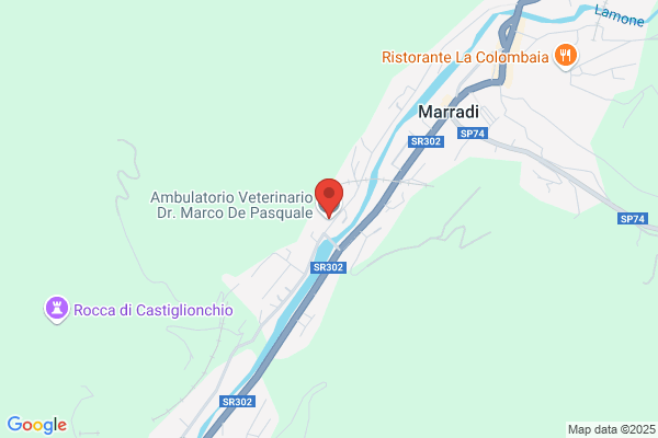 Veterinario De Pasquale Dr. Marco