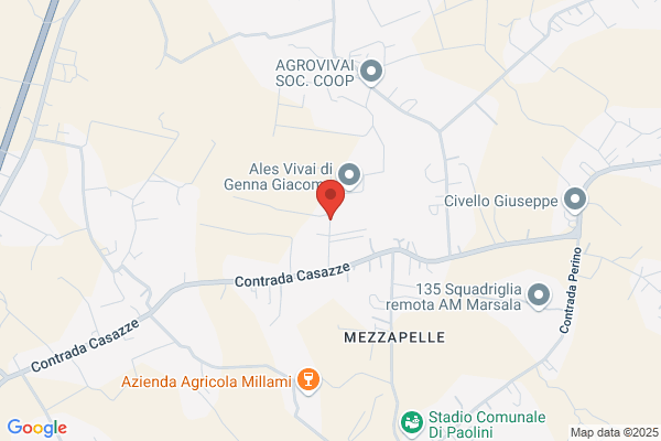 Siciliana Antifurto Di Di Vita G.& Mezzapelle A. snc