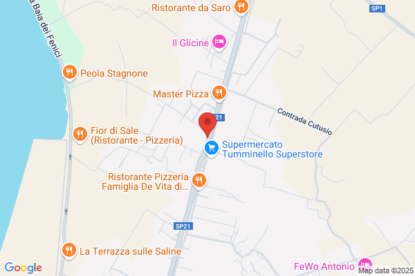 Saladino angelo