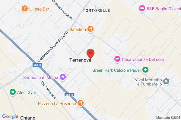 Laudicina salvatore