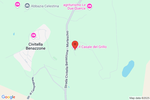 Il Grillo