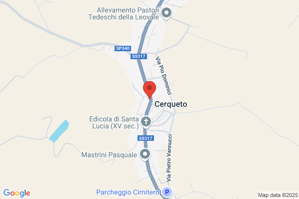 Magnanini stefano