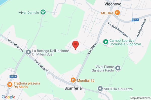 Vivai Moro Sergio - Giardiniere Giardinaggio
