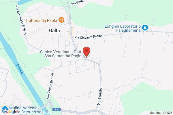 Clinica Veterinaria Dott.ssa Samantha Pagini