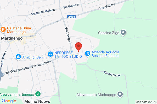 Marconi alfredo
