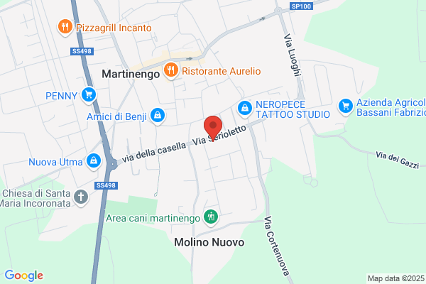 Tomasoni pierina (Dr.)