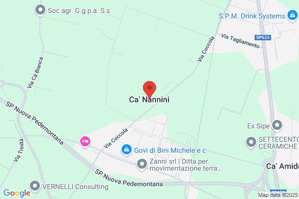 Nannini dina