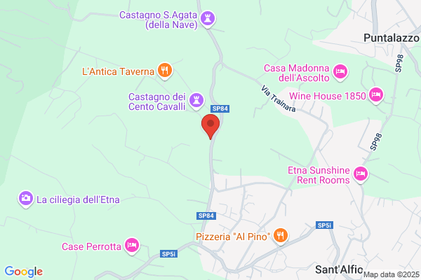 Castagno dei Cento Cavalli