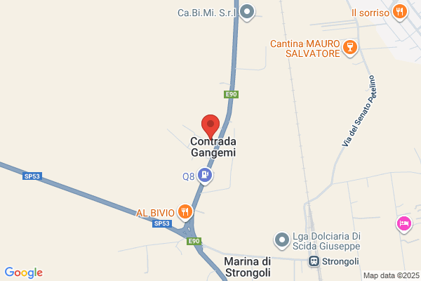 Miglio enrica