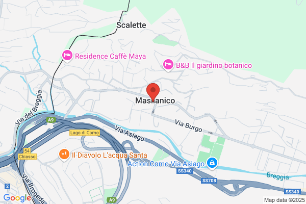 Ostinelli marina (Dr.)
