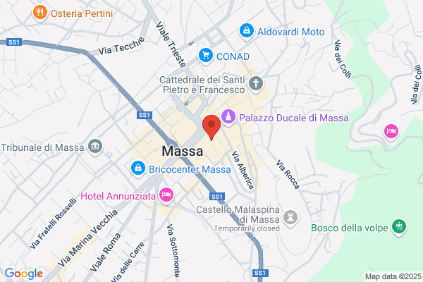 Reale Mutua Agenzia di Massa Guidoni Sas Di Guidoni Marco Giuseppe