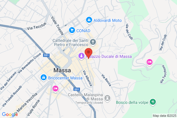 Maneschi luigi (Avv.)