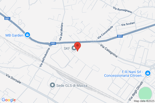Skf Industrie (S.P.A.)