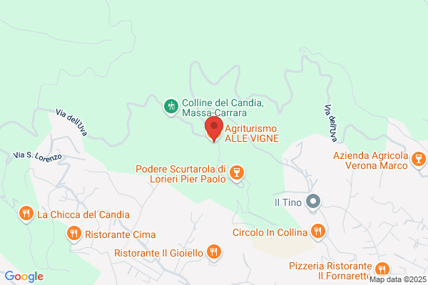 Ristorante Alle Vigne Di Della Tommasina Renza