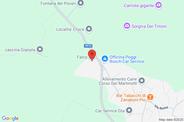 Falco Societa Per Azioni