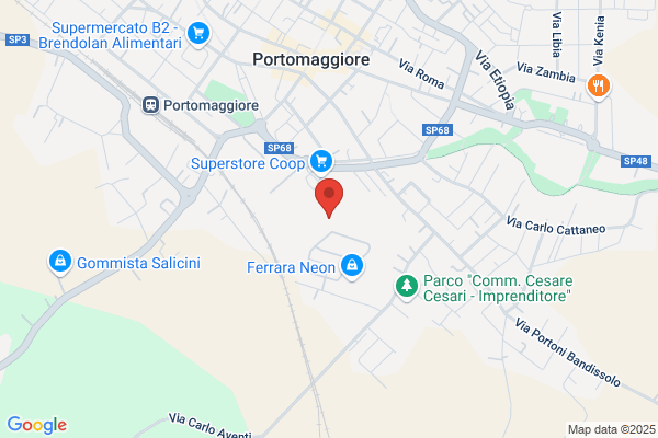 Partito Democratico Della Sinistra