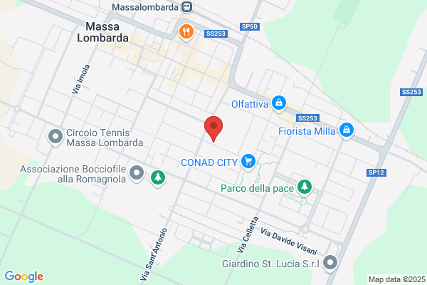 Ricci maria